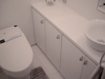 藤垂園の家/白のトイレ