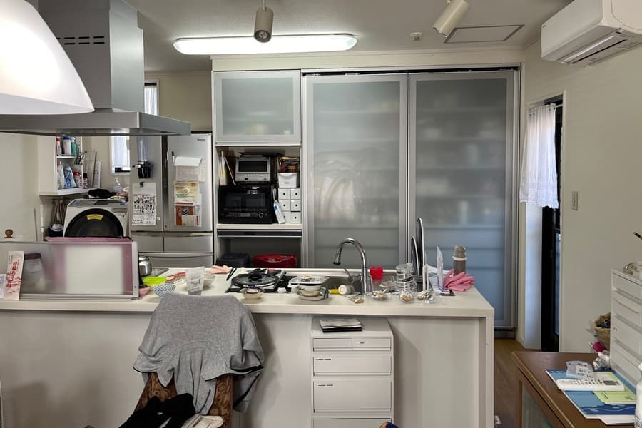 模型：K-ハウスの鳥観