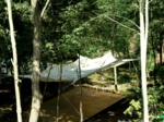 むささびテント/8カ所の木から吊上られたテント