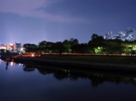 キャンドルライト/中央公園前にライトが並ぶ
